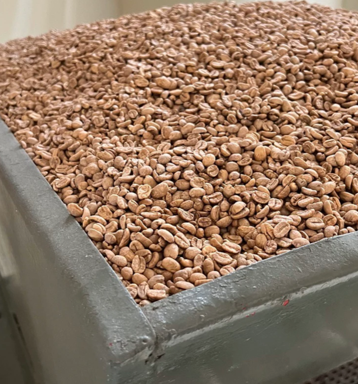 Tolima Decaf / Condor Decaf